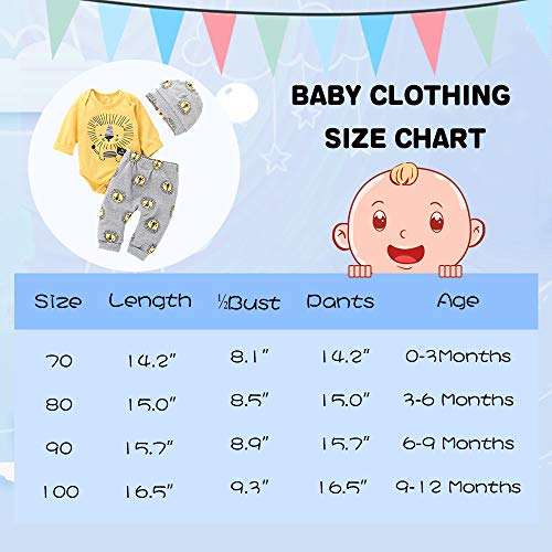 Newborn Baby Boy Clothes Little Lion Print Romper+Pants+Hat Newborn Boy Outfits Set(0-3 Months) from 