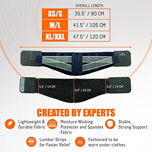 AllyFlex SportsÂ® - Back Brace for Women & Men, Slim-Fit Lumbar Support Belt, Ergonomic Compression Breathable Brace for Back Support, 41.5 inches, Medium-Large by 