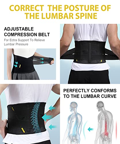 BERTER Lower Back Brace for Lower Back Pain Relief for Men & Women, Lumbar Back Waist Support Belt with Compression Band-Lightweight, Breathable, Sleek & Ergonomic Design (M, Black) from BERTER