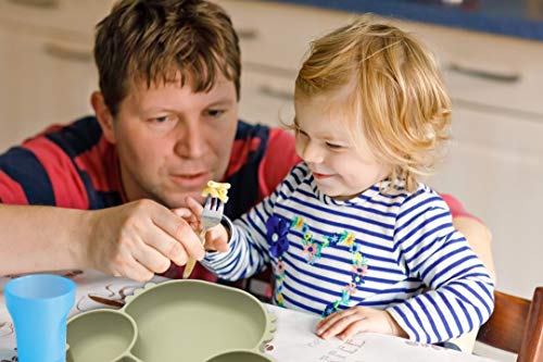 Silicone Suction Plate for Toddlers - Self Feeding Training Divided Plate Dish and Bowl for Baby and Toddler, Fits for Most Highchairs Trays, BPA Free Microwave Dishwasher Safe from Novos