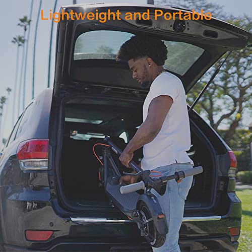 Segway Ninebot F30 Electric Kick Scooter, 300W Powerful Motor, 10-inch Pneumatic Tire, Foldable Commuter Electric Scooter for Adults, Dark Grey by Ninebot (Changzhou) Tech Co., Ltd.