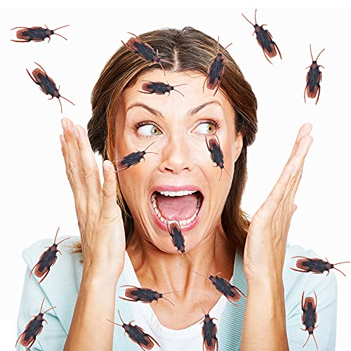 Pynqdfu 100 Pcs Plastic Fake Roaches,Prank Fake Cockroaches Scary Insects Realistic Bugs,Novelty Cockroach Toys for Halloween,Party by Pynqdfu