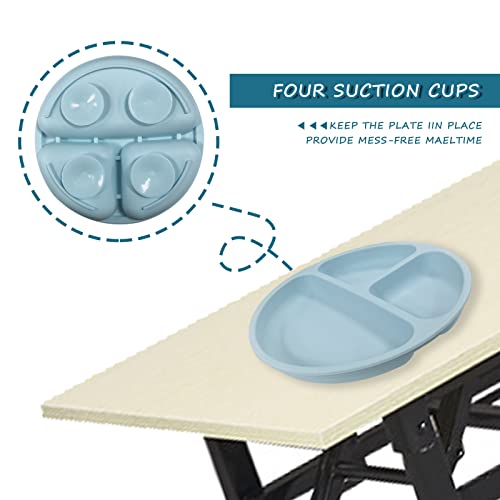 Suction Plates for Babies & Toddlers (Set of 2) | Fork, Spoon with Cover Cap Lid | 100% Silicone | Plates Stay Put with Suction Feature | Divided Design | Microwave & Dishwasher Safe (Blue& Off White) by Auzeuner