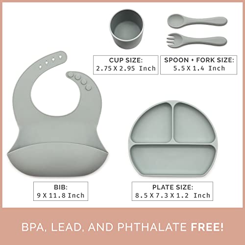 5 Piece Baby Feeding Set - Silicone Baby Bib, Suction Divided Plate, Dinnerware Cup, Soft Baby Spoon & Fork, Food Grade Silicone, Baby Gift Set, Baby Items, Toddler Utensils, Waterproof, Unisex from 