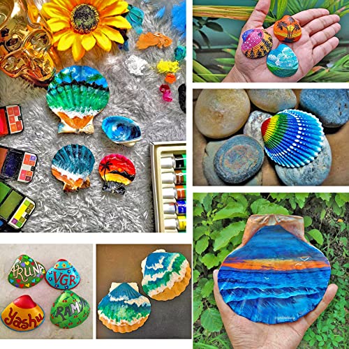Shell Painting Kit-Arts and Crafts for Girls & Boys Ages 4-12,Craft Kits Art Set with 10 Sea Shells & More Art Supplies,Birthday Gifts Painting Toys for 4 5 6 7 8 9 10 Year Old Kids Activities from sheful