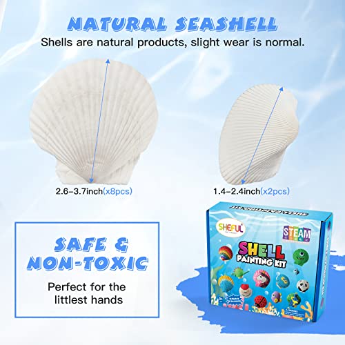 Shell Painting Kit-Arts and Crafts for Girls & Boys Ages 4-12,Craft Kits Art Set with 10 Sea Shells & More Art Supplies,Birthday Gifts Painting Toys for 4 5 6 7 8 9 10 Year Old Kids Activities from sheful