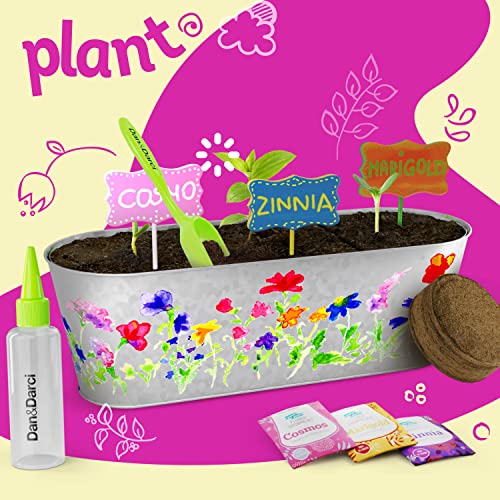 Dan&Darci Paint & Plant Flower Craft Kit for Kids - Best Birthday Crafts Gifts for Girls & Boys Age 5 6 7 8-12 Year Old Girl Gift - Children Gardening Kits, Art Projects Toys for Ages 5-12 Years by Dan&Darci