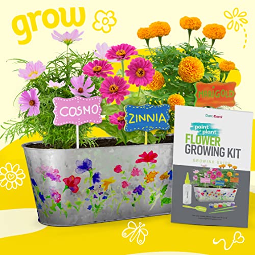 Dan&Darci Paint & Plant Flower Craft Kit for Kids - Best Birthday Crafts Gifts for Girls & Boys Age 5 6 7 8-12 Year Old Girl Gift - Children Gardening Kits, Art Projects Toys for Ages 5-12 Years by Dan&Darci