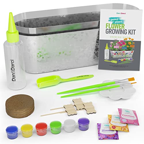 Dan&Darci Paint & Plant Flower Craft Kit for Kids - Best Birthday Crafts Gifts for Girls & Boys Age 5 6 7 8-12 Year Old Girl Gift - Children Gardening Kits, Art Projects Toys for Ages 5-12 Years by Dan&Darci