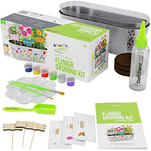 Dan&Darci Paint & Plant Flower Craft Kit for Kids - Best Birthday Crafts Gifts for Girls & Boys Age 5 6 7 8-12 Year Old Girl Gift - Children Gardening Kits, Art Projects Toys for Ages 5-12 Years by Dan&Darci