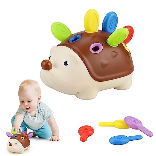 Toddlers Montessori Toys Educational Hedgehog Toys for 1 Year Old,Baby Preschooler Fine Motor Skills Learning Toysï¼Gifts for 18 Month Age 2 3 4 One Two Year Old Toddlers Boys Girls from Twakashic