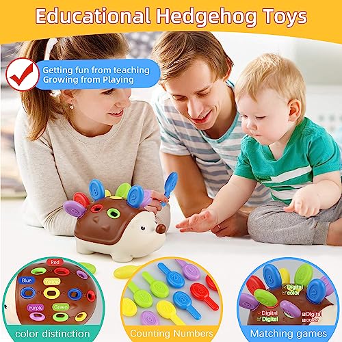 Toddlers Montessori Toys Educational Hedgehog Toys for 1 Year Old,Baby Preschooler Fine Motor Skills Learning Toysï¼Gifts for 18 Month Age 2 3 4 One Two Year Old Toddlers Boys Girls from Twakashic