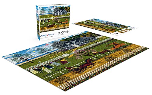 Buffalo Games - Charles Wysocki - The Boccie Ladies of Martha's Vineyard - 1000 Piece Jigsaw Puzzle from Buffalo Games