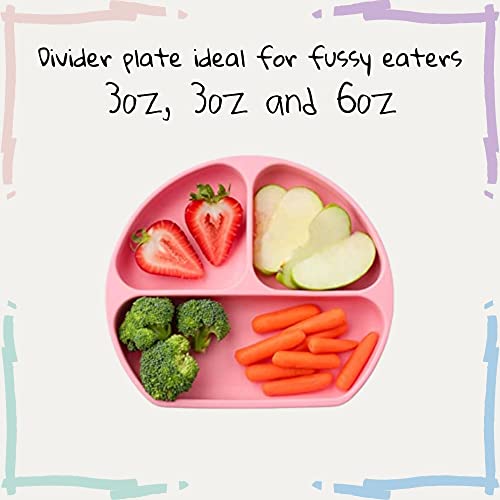 BrushinBella Baby Feeding Supplies - Complete Baby Feeding Set with Baby Plate, Baby Spoons First Stage, Silicone Bib and Snack Cup - Infant Eating Utensils and Baby Bowl with Suction from BrushinBella