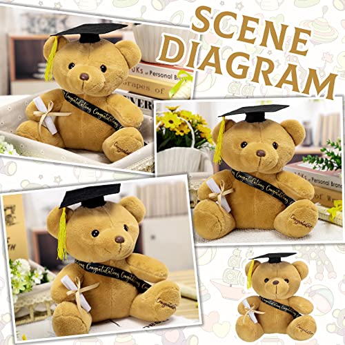 Chuangdi 12 Pcs 10 Inch Bulk Graduation Bears Graduation Plush Stuffed Animal Class of 2023 Graduation Stuffed Bear with Diploma Cap Congratulation Sash for Her Him Graduation Gift (Black) from Chuangdi