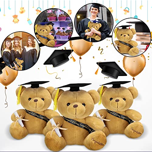 Chuangdi 12 Pcs 10 Inch Bulk Graduation Bears Graduation Plush Stuffed Animal Class of 2023 Graduation Stuffed Bear with Diploma Cap Congratulation Sash for Her Him Graduation Gift (Black) from Chuangdi