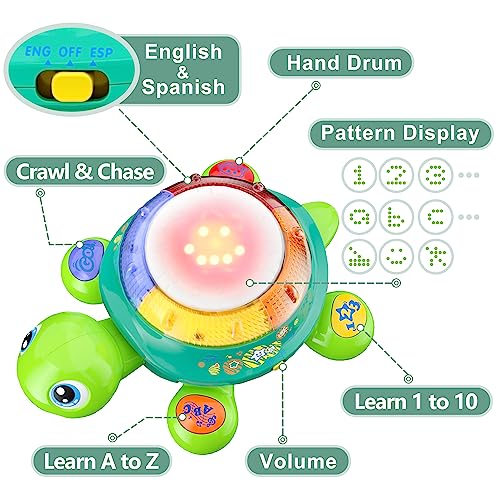 iPlay, iLearn Baby Musical Turtle Toy, Spanish English Bilingual Learning, Toddler Crawling Toys W/ Light & Sound, Infant Development Educational Birthday Gifts 6 7 8 9 10 12 Month 1 Year Old Boy Girl from iPlay, iLearn