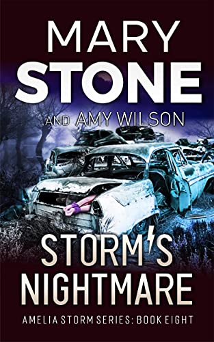 Storm's Nightmare (Amelia Storm FBI Mystery Series Book 8) by