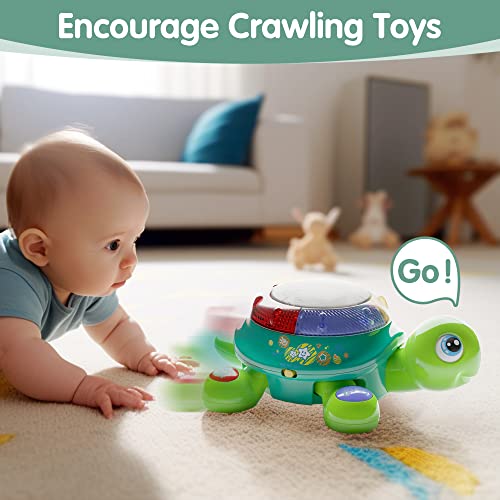 iPlay, iLearn Baby Musical Turtle Toy, Spanish English Bilingual Learning, Toddler Crawling Toys W/ Light & Sound, Infant Development Educational Birthday Gifts 6 7 8 9 10 12 Month 1 Year Old Boy Girl from iPlay, iLearn