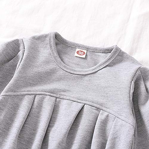 CM C&M WODRO Toddler Girls Clothes Winter Warm Long Sleeve Tops+Long Pants Set (Gray, 2-3 Years(100)) by 