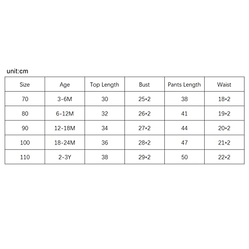 Toddler Baby Boy Clothes Set Solid Color Long Sleeve Crewneck Sweatshirt Top Casual Pants Set 2Pcs Fall Winter Outfits (Brown B, 6-12 Months) from Bagilaanoe