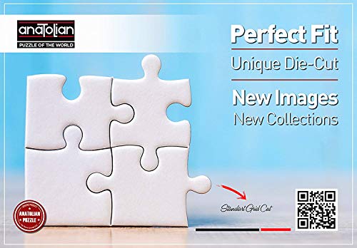 Anatolian Puzzle - Odyssey, 3000 Piece Jigsaw Puzzle, 4920 from Anatolian