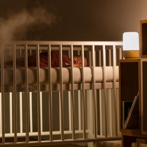 Safety 1st Connected Smart Soother â Light & Sound Machine, Night Light, Includes 20 Classic lullabies and Soothing Sounds, Timer, Wi-Fi and Button Controlled, iOS and Android Compatible from Dorel Juvenile Group-CA