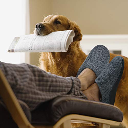 Orthotic Slippers with Arch Support for Plantar Fasciitis Pain Relief, Comfortable Orthopedic Clog House Shoes with Indoor Outdoor Anti-Skid Rubber Sole by ERGOfoot from ERGOfoot