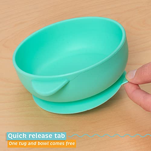 Baby Bowls with Suction - 4 Piece Silicone Set with Spoon - UpwardBaby - for Babies Kids Toddlers - BPA Free - First Stage Self Feeding from UpwardBaby