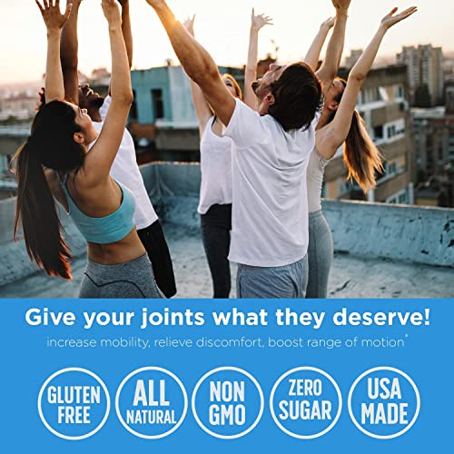 Joint Assist - Glucosamine Chondroitin Turmeric Msm Boswellia - Joint Support & Relief - 120 Capsules by Doctor Danielle