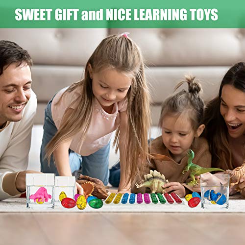 Skylety 60 Pieces Dinosaur Eggs Toys Dino Eggs Grow in Water Hatching in Water Pool Games Science Kits Crack Novelty Toy Mini Dino Egg for Boys Girls Birthday Present Toys Party Favor (Multi-Color) by Skylety