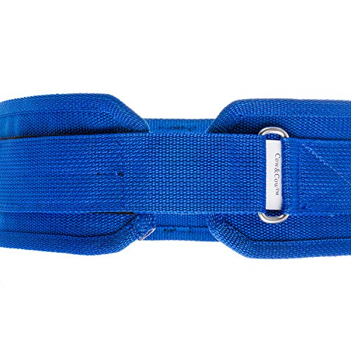 Cow&COWGait Belt with 3 Handles and Metal Loop for Physical Therapy 4 inches(36inches-42inches) by COW&COW Care