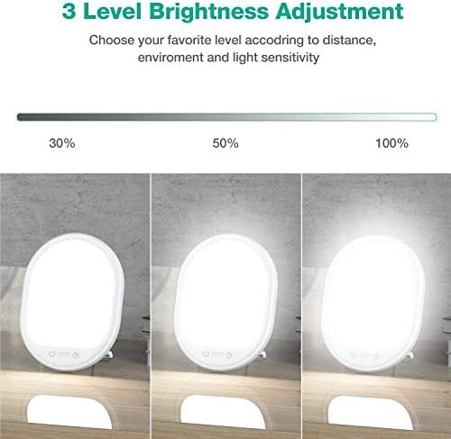 Light Therapy Lamp, UV-Free 10000 Lux Therapy Light, Touch Control with 3 Adjustable Brightness Levels and 4 Timer Function, Large Light Surface 90Â° Rotatable Stand, Compact Size for Home/Office Use by Erligpowht