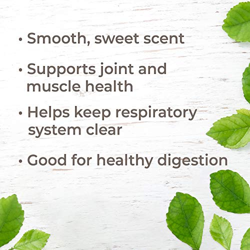 Plant Therapy Copaiba Oleoresin Organic Essential Oil 100% Pure, Undiluted, Natural Aromatherapy, Therapeutic Grade 10 mL (1/3 oz) by Plant Therapy Essential Oils