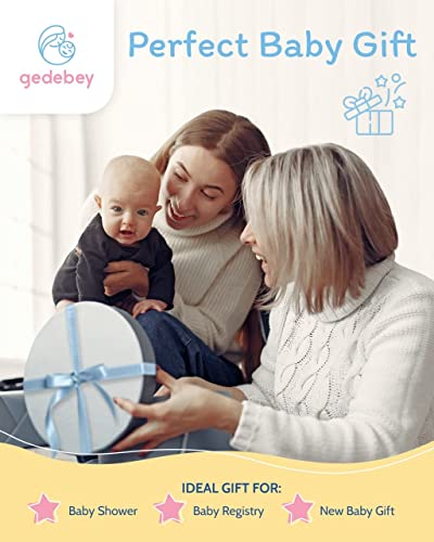 Gedebey Baby Fruit Feeder Pacifier - 3 Pack | 2 Silicone Baby Feeder Pacifiers & 1 Baby Food Spoon Dispenser | Frozen Fruit Teether | Forage Feeder | Food Pacifier for Babies | Baby Food Spoon (Pink) from Gedebey