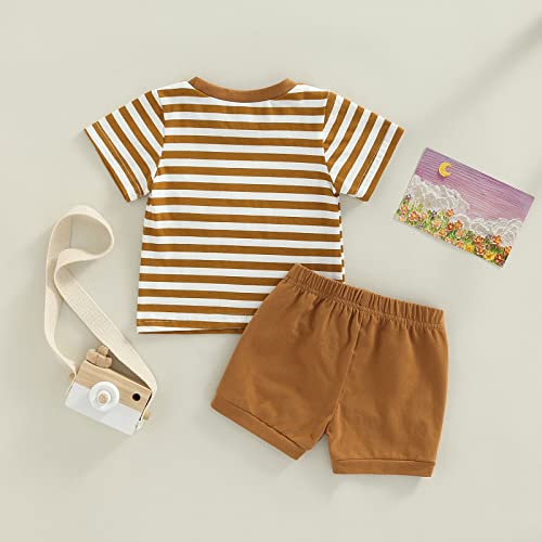 Baby Boys Summer Outfits Set Short Sleeve Striped T-Shirt Tops + Solid Color Short Pants 6 12 18 24 Months 2T 3T (A-Brown, 6-12 Months) from VISGOGO