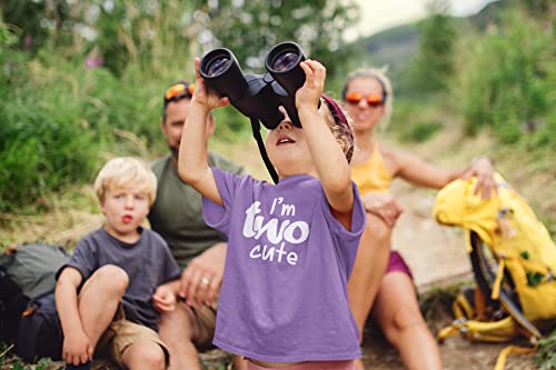 2nd Birthday Outfits for Toddler Girls im Two Cute Shirt Girl 2 Year olds Second (Purple, 2T) from 