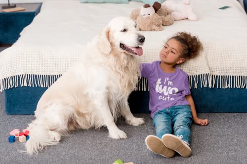 2nd Birthday Outfits for Toddler Girls im Two Cute Shirt Girl 2 Year olds Second (Purple, 2T) from 