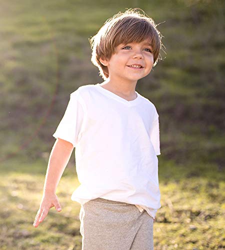 Burt's Bees Baby baby boys T-shirts, Set of 3 Organic Short Sleeve and Long Sleeve V-neck Tees T Shirt, White/Grey/Navy Short Sleeve, 18 Months US by Burt's Bees Children's Apparel