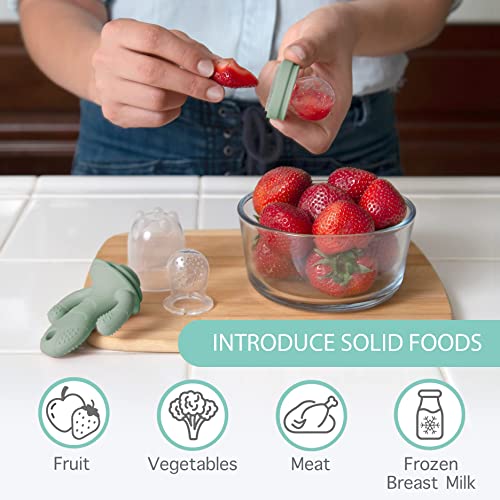 Little Twig Baby Fruit Feeder Pacifier Teether | Baby Food Freezer Tray with Lid | BPA Free Silicone Freezable Teether | Feeding Set for Breast Milk Ice Cubes, Baby Food, Vegetable Fruit Purees from Kittrich Corporation