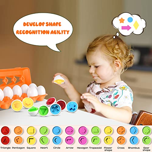 CPSYUB Egg Toys for Toddlers 1-3, Easter Eggs Learning Toys for 1, 2, 3 Year Old Girls/Boys, Montessori Egg Matching Toy Educational Color & Shape Recognition Skills Gifts Toys BPA Free (12 Eggs) by ASPWISH