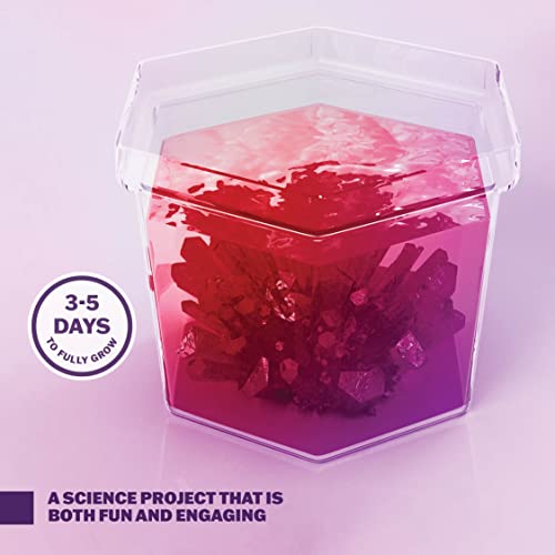 Crystal Growing Kit for Kids - Science Experiments Gifts for Boys & Girls Ages 8-14 Year Old - Discovery STEM Toys for Kids & Teen Age Boy/Girl Arts & Crafts Kits - Cool Educational Ideas by Dan&Darci