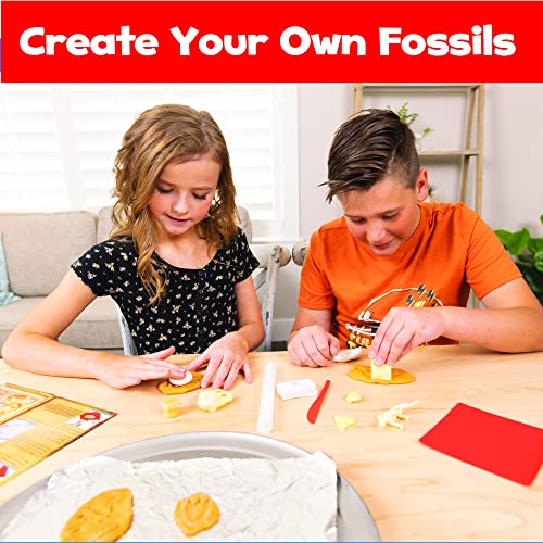 Hapinest Make Your Own Dinosaur Fossils Arts and Crafts Kit for Kids Boys Girls Ages 8 9 10 11 12 Years Old by Island Genius