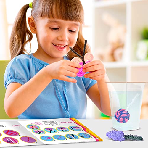 Arts and Crafts Kit for Girls Ages 8-12. Craft Your Own Crystal Night Light - Holiday Gift Set for 6,7,8-12 Year Old Girls. Cute Girls Toy from Learn & Climb