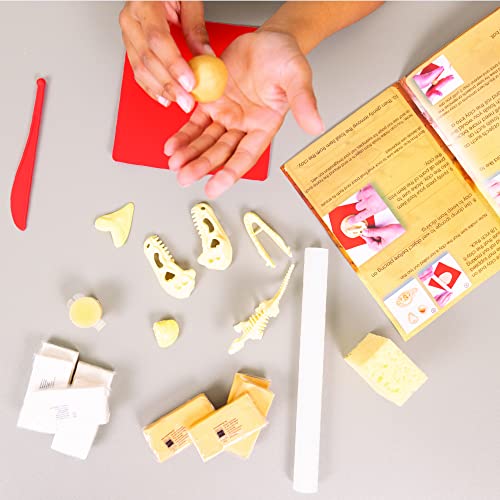 Hapinest Make Your Own Dinosaur Fossils Arts and Crafts Kit for Kids Boys Girls Ages 8 9 10 11 12 Years Old by Island Genius