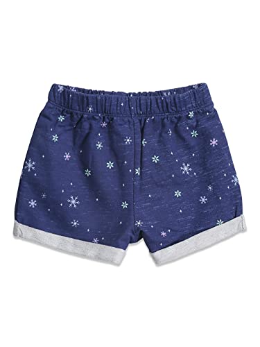 Disney Frozen Elsa Toddler Girls T-Shirt and French Terry Shorts Outfit Set Mint 4T by 