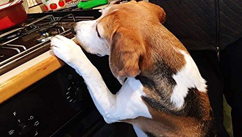 Vadiff Silicone Gas Stove Child Safety Knob Locks | Stove Knob Cover (5 Pk) (Black) by VADIFF