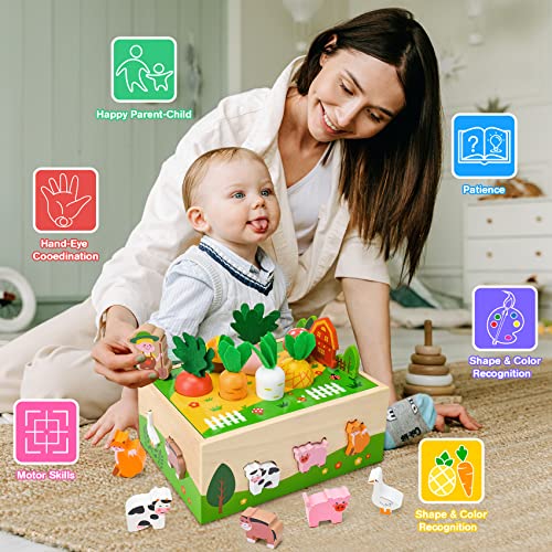 Bloranda Toddler Montessori Toys Age 1-2, Toys for 2-Year-Old Girl | Farm Wooden Toys Gifts for 2-Year-Old Girls, Toddler Fine Motor Skills Game Wooden Toy for Ages 1-3 by Yunhe Dingguan Toys Co., Ltd.