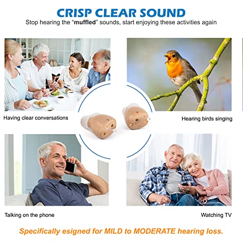 Rechargeable Hearing Amplifier to Aid and Assist Hearing of Seniors and Adults, Invisible Mini Digital Amplifiers Small & Light ( R&L C20 Pair) by R&L