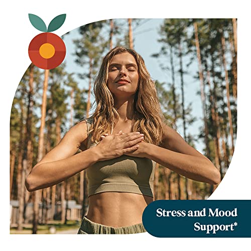 Pattern Wellness Ashwagandha Complex for Men & Women - KSM-66 & Black Pepper Extract - Supports Stress, Sleep & Mood - Whole Body Health - One A Day Supplement - Made in USA - 60 Vegan Tablets from Pattern Wellness